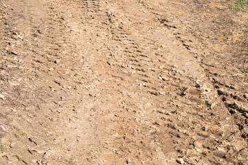 Truck tire imprint in the sand