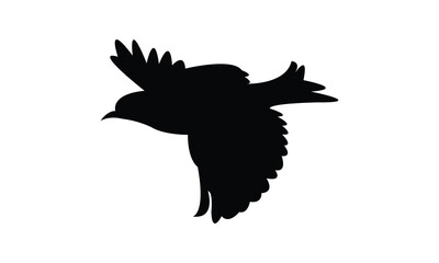 Flying Altamira oriole bird Silhouette Design  And Vector Illustration. 