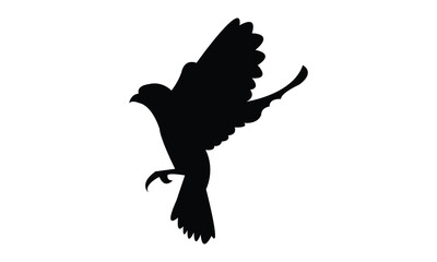 Flying Altamira oriole bird Silhouette Design  And Vector Illustration. 
