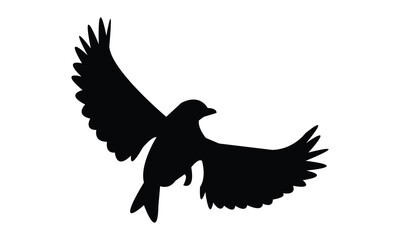 Flying Altamira oriole bird Silhouette Design  And Vector Illustration. 