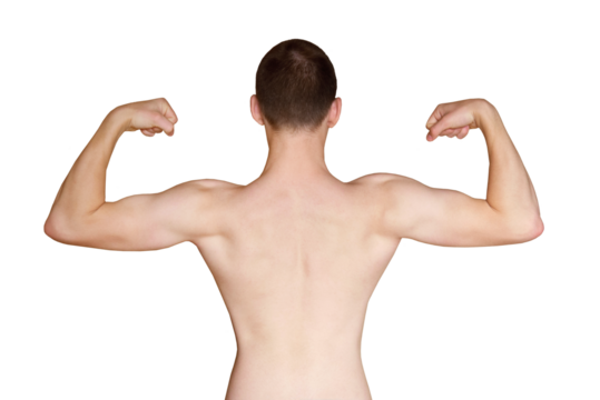 Male arms and back of caucasian young man muscles close-up, back view, png, isolated on transparent background. fist expressing strength and power