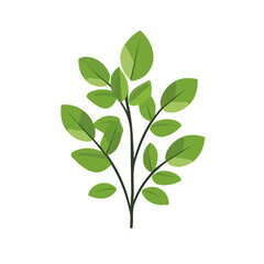 My Simple flat 2D coriander leaves icon on a transparent background, high-resolution vector illustration, minimalist clipart, suitable for print and digital design, clipart icon set