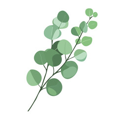 My Simple flat 2D eucalyptus branch icon on a transparent background, high-resolution vector illustration, minimalist clipart, suitable for print and digital design, clipart icon set, eps format	