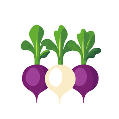 My Simple flat 2D turnips group icon on a transparent background, high-resolution vector illustration, minimalist clipart, suitable for print and digital design, clipart icon set, eps format	