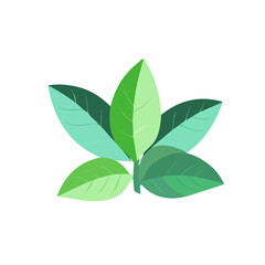 My Simple flat 2D mint bunch icon on a transparent background, high-resolution vector illustration, minimalist clipart, suitable for print and digital design, clipart icon set	