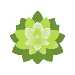 My Simple flat 2D lettuce icon on a transparent background, high-resolution vector illustration, minimalist clipart, suitable for print and digital design, clipart icon set
