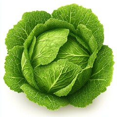 Fototapeta premium Fresh green cabbage with vibrant leaves, perfect for healthy meals.