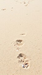 Seashells and footprints on sandy beach