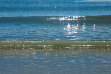 seagulls on the beach