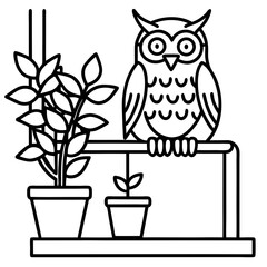 owl sitting on a branch