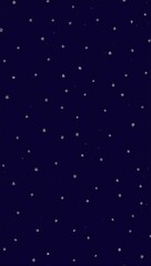 Silver stars on purple