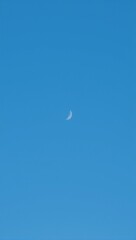 Blue moon silhouette