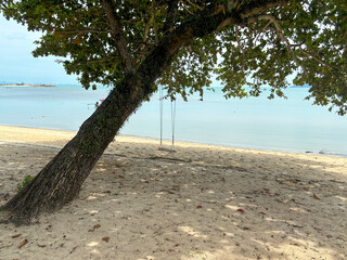 Tropical Beach Swing at Sunset on Lipa Noi Beach, Koh Samui – A Paradise Destination in Thailand