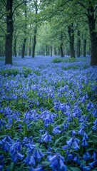 Fototapeta premium Bluebell forest floor