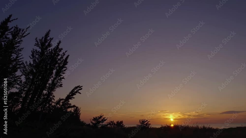 Poster sunset over the ocean creates a serene atmosphere with silhouetted trees against the horizon