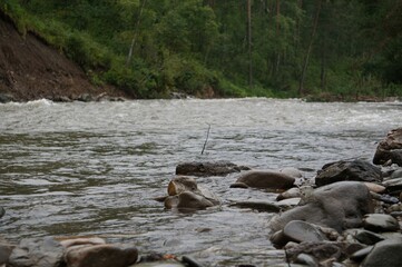  Fast-flowing mountain river, natural grey and green colors, representing wild nature or a travel destination
