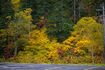 Obraz premium Autumn landscape of Asahidake, Asahikawa, Hokkaido, Japan