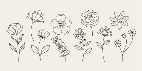 Floral Line Art Collection of Simple Flower Drawings and Sprigs with Leaves on Beige Background