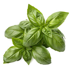 Fresh Basil Leaves Bunch, Vibrant Green, Isolated on White, 8K Crisp Texture