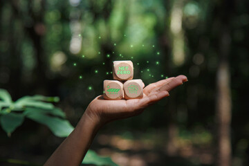 Net zero, green Renewable energy concept. Net zero on hand and Green energy icon around it at green wall background, Renewable Sustainable. earth day ,friendly energy,