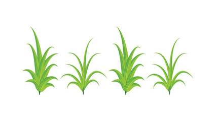 Plants 2: Vector plants design, Abstract leaves in flat style.