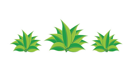 Plants 3: Vector plants design, Abstract leaves in flat style.