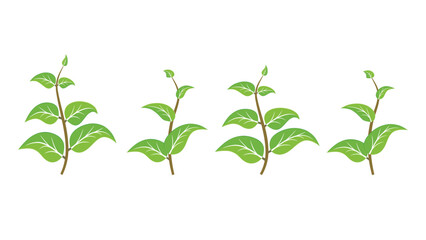 Plants 5: Vector plants design, Abstract leaves in flat style.