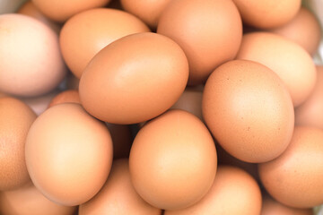 closeup of raw chicken eggs background