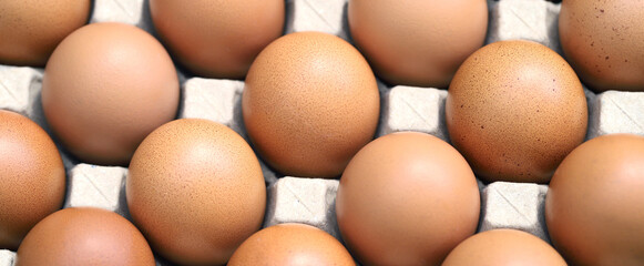 Closeup chicken Eggs Arranged In a Paper Tray.