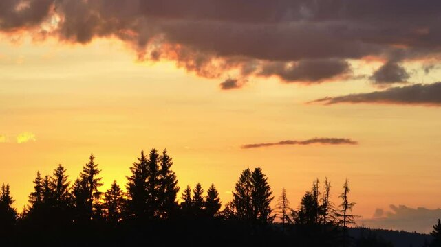 Scenic forest silhouette at sunset with glowing sun on the horizon, warm orange sky, and tall pine trees. A peaceful, tranquil nature landscape perfect for themes of calm, serenity, and beauty