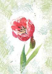 Stylish pink tulip, spring summer illustration, gift card for a woman, mom. Creative postcard design with flowers on a textured green background.