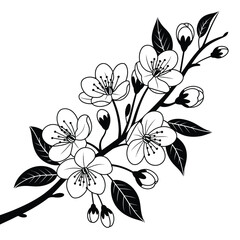 Black and White Cherry Blossom Branch Illustration