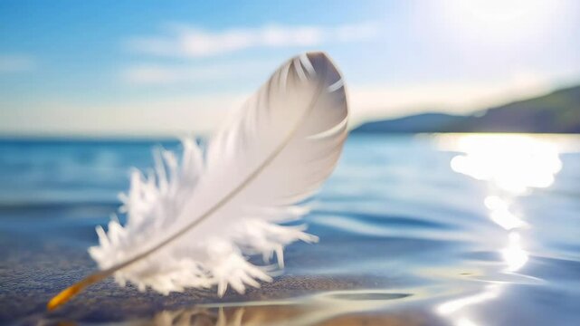 Single white feather resting gently on a rock in crystal clear, shallow ocean water with blurred coastline in the distance.