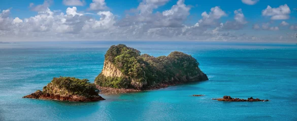 Fotobehang Cathedral Cove Mahurangi Island (Goat Island) off the coast of Hahei across from the famous Cathedral Cove (Te Whanganui-A-Hei), Coromandel Peninsula in New Zealand's North Island  © Luis