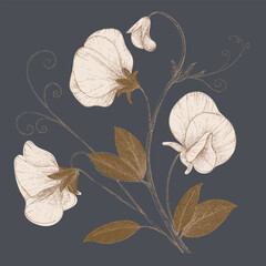 Elegant floral illustration featuring delicate flowers and leaves on dark background, conveying sense of beauty and tranquility