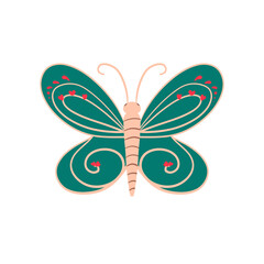 butterfly illustration