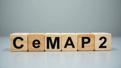 Wooden Sign CeMAP 2
