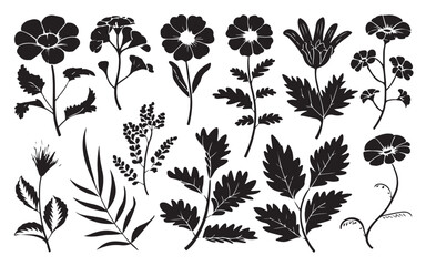 a-collection-of-intricate-black-.eps