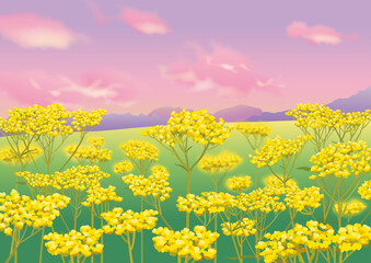 オミナエシ　風景
