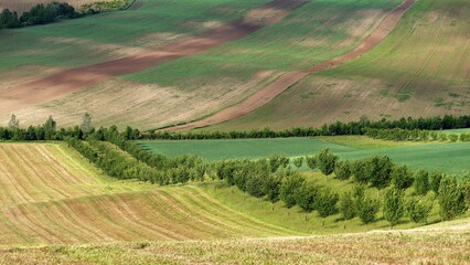 Beautiful spring landscape with field, hills and sunset. Czech Republic - South Moravia (Moravian Tuscany.) Concept for agriculture, travel, environment and nature..