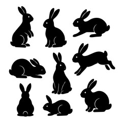 Rabbit  set, vector illustration