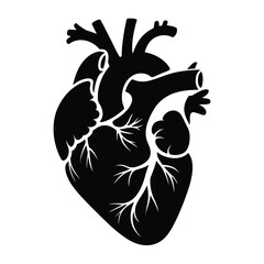 Detailed Black Silhouette of a Human Heart Anatomy