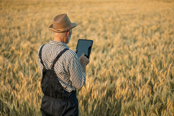 A farmer stands in a wheat field, using a tablet to check agricultural data, merging technology...