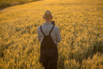 An elderly farmer utilizes a tablet while standing among golden wheat, showcasing modern technology in agriculture.