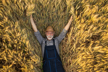 A joyful farmer lies amidst golden wheat, celebrating a bountiful harvest with outstretched arms and a smile of gratitude.