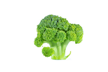 Fresh green broccoli  isolated on white background.