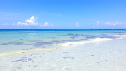 Obraz premium Low tide in the ocean near the coast of Zanzibar island, Tanzania