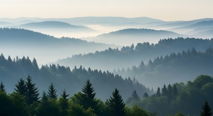 Obraz premium Misty forested hills during early morning