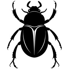 black beetle isolated on white background