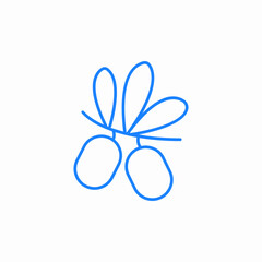 olive branch icon sign vector